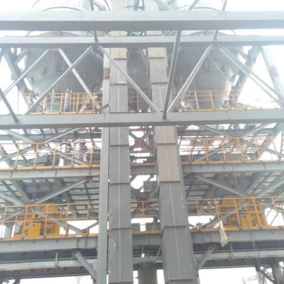 DT Series Bucket Elevator (1)